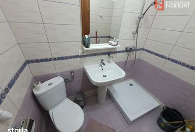 Apartament cu 3 camere, mobilat în Plopi - 12