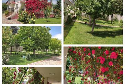 Vila 546 mp, teren 2000 mp si spatii de afacere, Magurele, Ilfov - 16