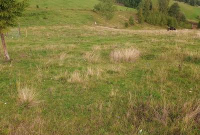 Spațiu comercial, în Măguri - 5