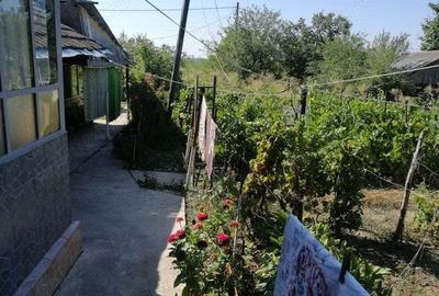 Vanzare CASA ,8 camere,teren 2845 mp,vie 500 mp,, Prundu,Puieni, jud Giurgiu,cadastru si intabulare - 8