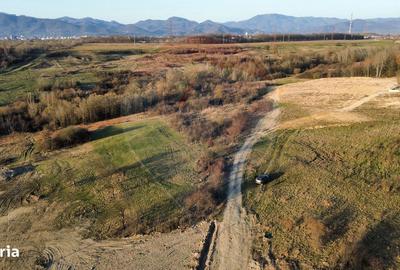 Spațiu comercial, în Satu Nou de Jos - 5