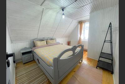 Casa la cheie /vila/pensiune Valiug,Crivaia . - 16