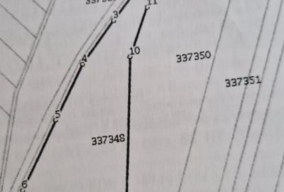 Vand 2 ha teren pa?une!! - 4