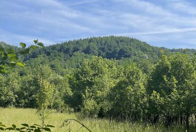 Teren Premium 1559 mp, Brebu Manastirei - Refugiu Montan la 120 km de Bucuresti, - 1