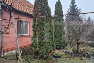 Casă cu 1 camere cu Teren 1306 Mp în Careiului - 3