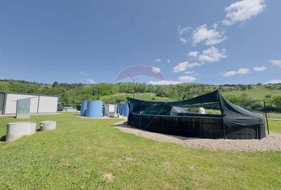 Pastravarie smart/ functionala/ Com.Rosia Bihor - 13