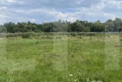 Teren de 1000 mp, în Central - 2