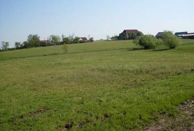 Spațiu comercial, în Central - 2