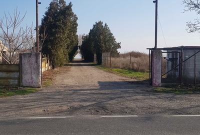 Spațiu comercial, în Însurăței - 8