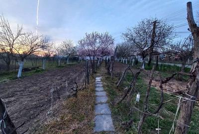Casă cu 3 camere în Bocsig - 3