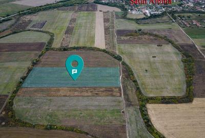 Teren agricol de 34.500mp in Albina, Jude?ul Timi? - 1