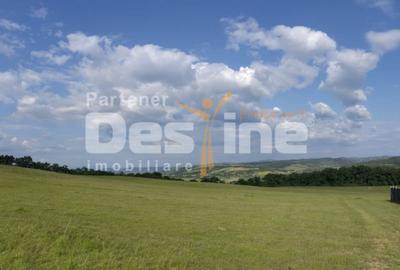 Teren de 1200 mp, în Central
