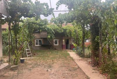 Casa recent renovata, 2023 mp teren, comuna Leu - 4