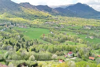 Teren intravilan Bran- Predelut - 26