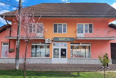 Casa mare cu 2 spatii comerciale, in Faget - 1