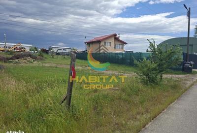 Spațiu comercial, în Domnești - 6