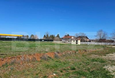 Teren intravilan destinatie construire, Targoviste Vest - Ca - 6