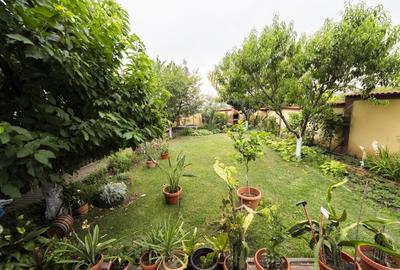 Casa duplex multifunctionala -Hanul Doctorului -langa Școala Romano Britanica - 14