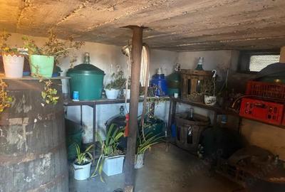 Casă cu Garaj în Șomănești - 10