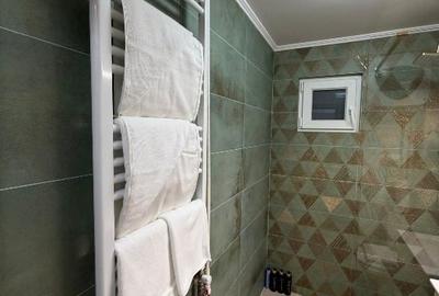 Apartament cu 2 camere semidecomandat, mobilat în Brâncoveanu - 3