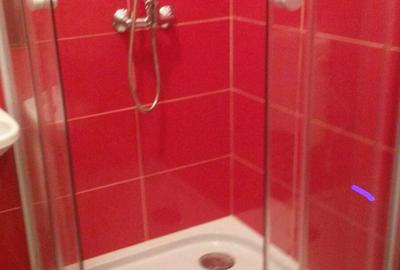 Garsonieră nedecomandată în Buziașului - 3