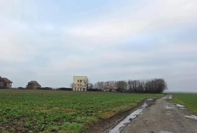 Teren în Frumușani - 1