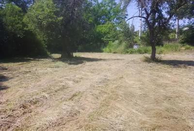 Teren de 4000 mp, în Copăceni - 7