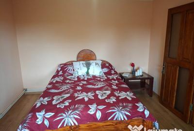 Casă cu 2 camere cu Teren 1644 Mp în Burlești - 11