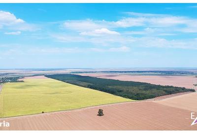 Spațiu comercial, în Frumușani - 2