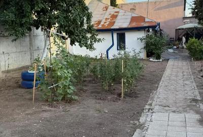 Casă cu 2 camere cu Teren 370 Mp în Rahova - 3