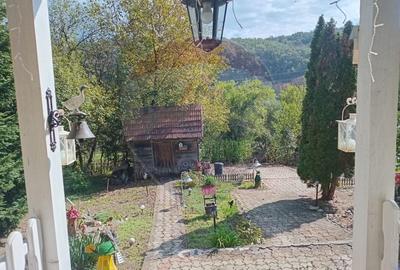 OCAZIE!!! CASA SUPERBA cu teren in JULITA jud Arad in M tii Zarandului - 40