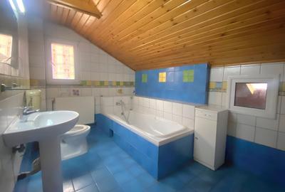 Lovely house with private pool in Herastrau-In complete renovation! - 13