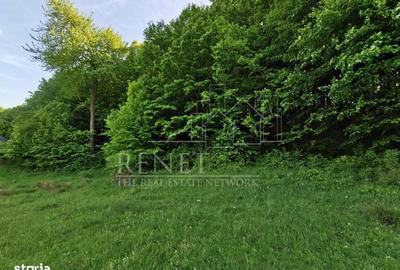 Spațiu comercial, în Bascov - 13