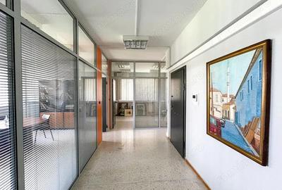 Birou de inchiriat in zona TimpurI Noi - 7