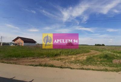 Teren construcție casă - 1 Decembrie - Zona Metropolitană București Teren construcție casă - 1 Decembrie - Zona Metropolitană București - 8