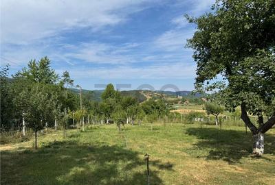 Reco casa in Balnaca - 12