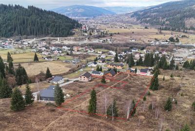 Teren de 7869 mp, în Dorna-Arini - 4