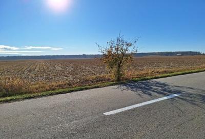 Teren extravilan de 5000 mp, în Berceni - 1
