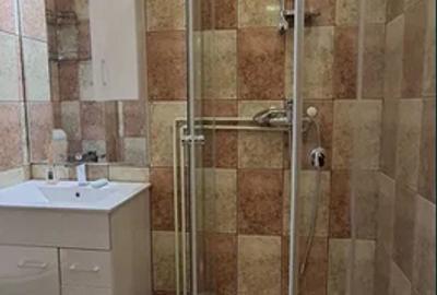 Apartament cu 2 camere decomandat, mobilat în Ferdinand - 6