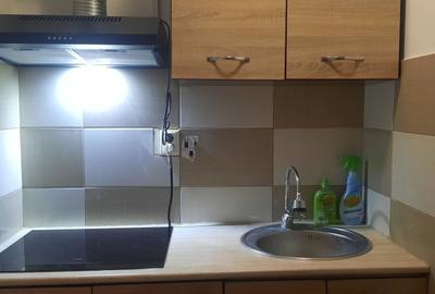 Apartament 3 camere Port (vizavi de Palatul Navigației) - 6