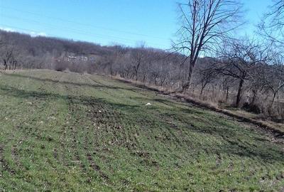 Casă cu 3 camere în Păduroiu din Vale - 3