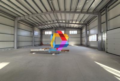 Hala de inchiriat Brașov - 597 mp plus-imo.ro - 4