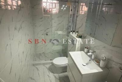 Apartament cu 2 camere semidecomandat în Bucureștii Noi - 5