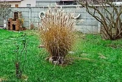 Casă cu 3 camere în Central - 1