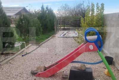 Casă cu 8 camere cu Teren 28000 Mp în Baba Ana - 18