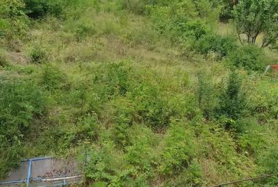 Nivelul unei vile,zona Ceta?ii - 4