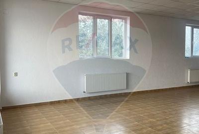Casă individuală cu 11 camere cu Teren 4200 Mp în Corbeanca - 3
