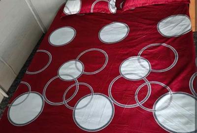 Casă cu 1 camere cu Teren 12 Mp în Nenciulești - 5