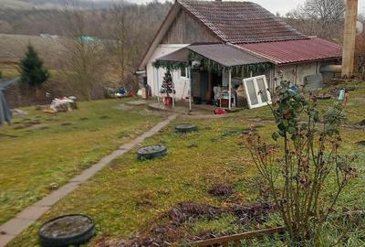 Casă cu 2 camere cu Teren 5800 Mp în Herina - 9