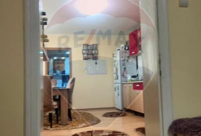 Casă cu 2 camere cu Teren 2008 Mp în Retiș - 13